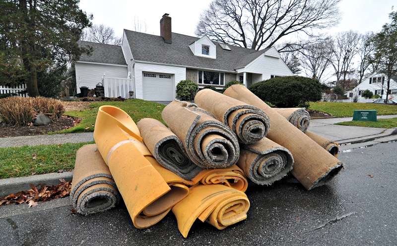 5 Steps To Prevent Carpet Mold After Flood Damage