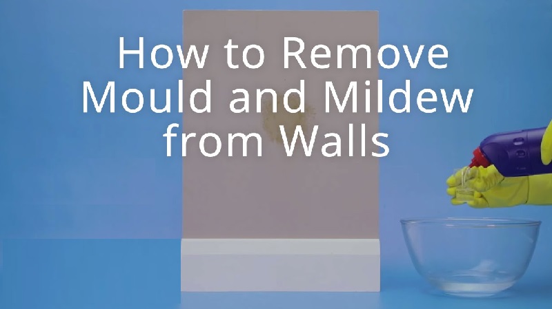 How to remove mould and mildew from walls?