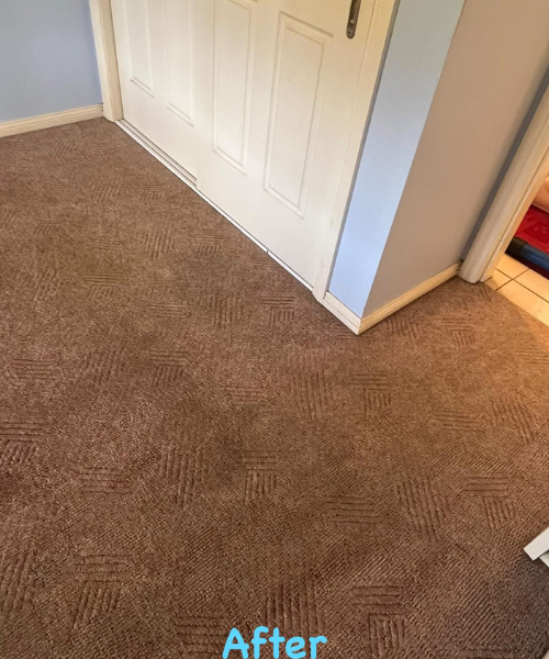 After carpet cleaning
