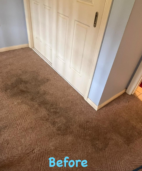 Before carpet cleaning